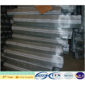 Electro Galvanized Mosquito Netting (XA-SM23)